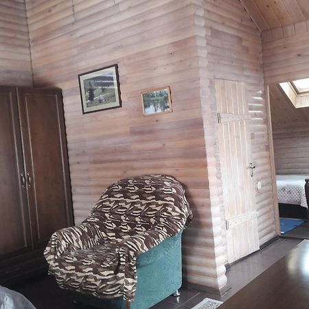 Argo Guest House Karakol Exterior foto